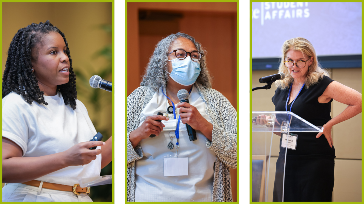 Candis Watts Smith, interim vice provost for undergraduate education, Suzanne Barbour, vice provost for graduate education and dean of the Graduate School, and Mary Pat McMahon, vice president and vice provost for student affairs, presenting on their respective departments.