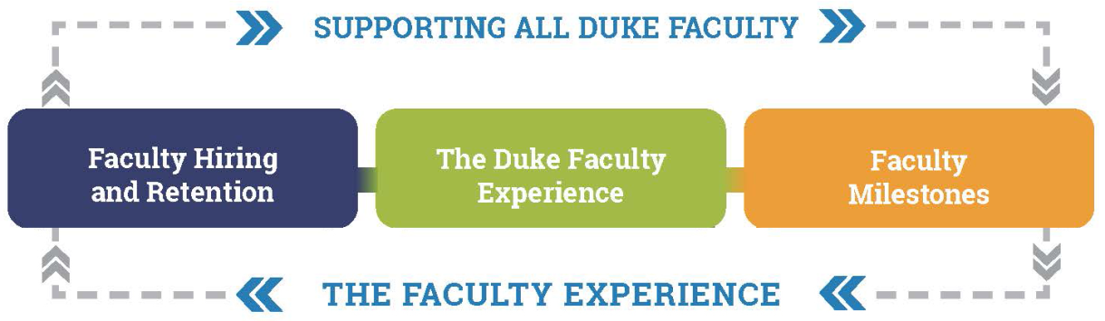 Supporting all Duke faculty: faculty hiring and retention; the Duke faculty experience; faculty milestones.